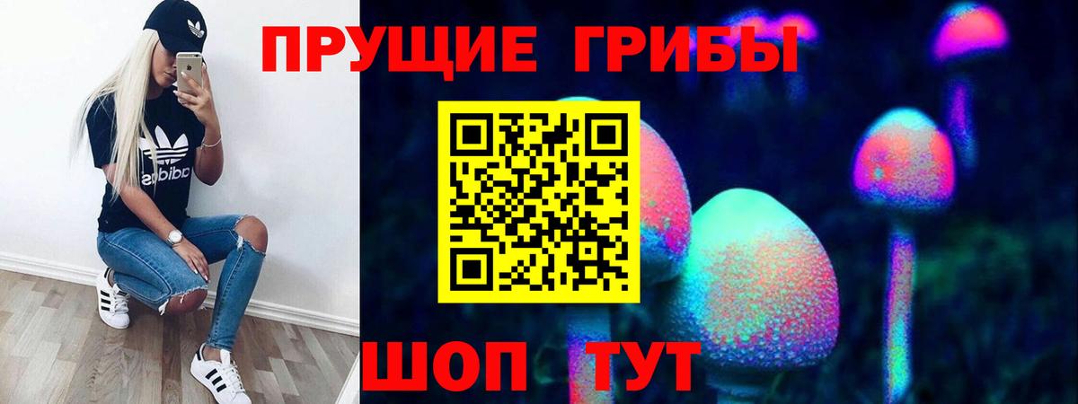 Галлюциногенные грибы Cubensis Шахты