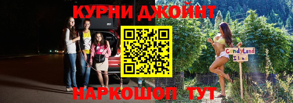 Конопля сатива Шахты
